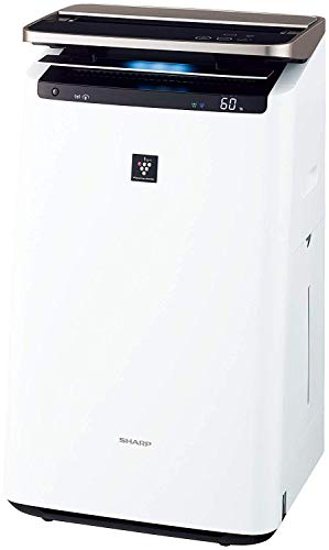 21最新 安い加湿器のおすすめ10選 スチーム式やハイブリッド式も