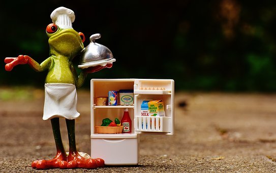 変わった冷蔵庫が欲しい そんなあなたに 変わった冷蔵庫を一挙紹介 ランク王