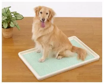 犬トイレトレーおすすめ16選 はみ出し 足濡れ対策も解説 ランク王