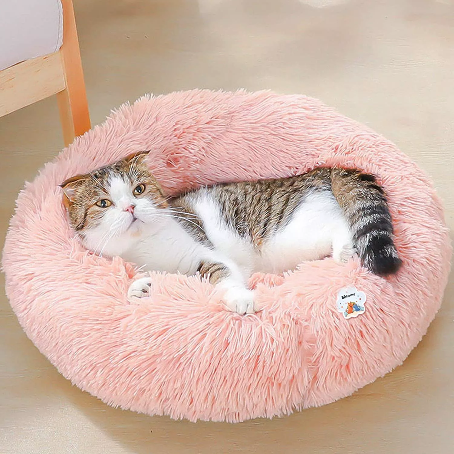 猫ベッドおすすめ選 夏 冬用やシニア猫向けも紹介 ランク王