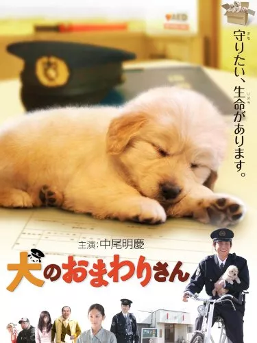22年版 動物映画おすすめ30選 コメディから感動作まで幅広く紹介 ランク王