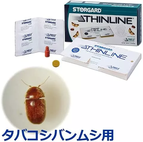 徹底解説 冷蔵庫にコバエが湧く原因と虫よけ対策 掃除方法も 虫はどこから入る ランク王